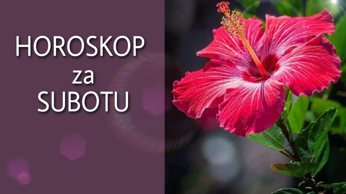 HOROSKOP za SUBOTU 28. avgust 2021. godine: Lav USPEŠAN, Škorpija uživa u STABILNOJ VEZI, Jarac USAMLJEN!